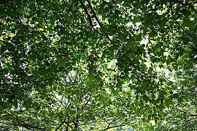 《赛博朋克2077》“往日之影”坐拥CDPR开发人数之首