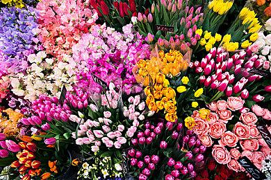 PSN意外泄露一款PS4新游 疑似Square Enix新作